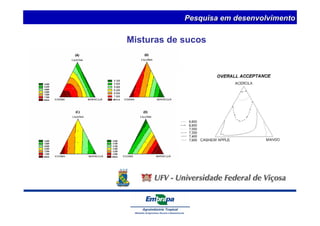 Pesquisa em desenvolvimento 
Misturas de sucos 
 