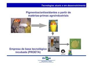 Pigmentos/antioxidantes a partir de 
matérias-primas agroindustriais 
Empresa de base tecnológica 
incubada (PROETA) 
Tecnologias atuais e em desenvolvimento 
 
