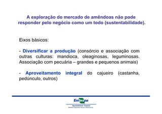 A exploração do mercado de amêndoas não pode 
responder pelo negócio como um todo (sustentabilidade). 
Eixos básicos: 
- Diversificar a produção (consórcio e associação com 
outras culturas: mandioca, oleaginosas, leguminosas. 
Associação com pecuária – grandes e pequenos animais) 
- Aproveitamento integral do cajueiro (castanha, 
pedúnculo, outros) 
 