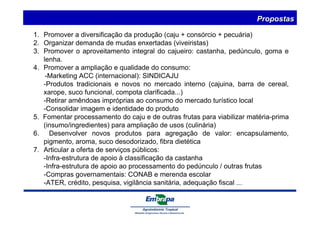 Propostas 
1. Promover a diversificação da produção (caju + consórcio + pecuária) 
2. Organizar demanda de mudas enxertadas (viveiristas) 
3. Promover o aproveitamento integral do cajueiro: castanha, pedúnculo, goma e 
lenha. 
4. Promover a ampliação e qualidade do consumo: 
-Marketing ACC (internacional): SINDICAJU 
-Produtos tradicionais e novos no mercado interno (cajuina, barra de cereal, 
xarope, suco funcional, compota clarificada...) 
-Retirar amêndoas impróprias ao consumo do mercado turístico local 
-Consolidar imagem e identidade do produto 
5. Fomentar processamento do caju e de outras frutas para viabilizar matéria-prima 
(insumo/ingredientes) para ampliação de usos (culinária) 
6. Desenvolver novos produtos para agregação de valor: encapsulamento, 
pigmento, aroma, suco desodorizado, fibra dietética 
7. Articular a oferta de serviços públicos: 
-Infra-estrutura de apoio à classificação da castanha 
-Infra-estrutura de apoio ao processamento do pedúnculo / outras frutas 
-Compras governamentais: CONAB e merenda escolar 
-ATER, crédito, pesquisa, vigilância sanitária, adequação fiscal ... 
 