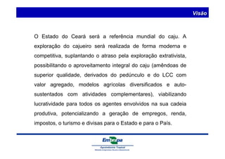 O Estado do Ceará será a referência mundial do caju. A 
exploração do cajueiro será realizada de forma moderna e 
competitiva, suplantando o atraso pela exploração extrativista, 
possibilitando o aproveitamento integral do caju (amêndoas de 
superior qualidade, derivados do pedúnculo e do LCC com 
valor agregado, modelos agrícolas diversificados e auto-sustentados 
com atividades complementares), viabilizando 
lucratividade para todos os agentes envolvidos na sua cadeia 
produtiva, potencializando a geração de empregos, renda, 
impostos, o turismo e divisas para o Estado e para o País. 
Visão 
 
