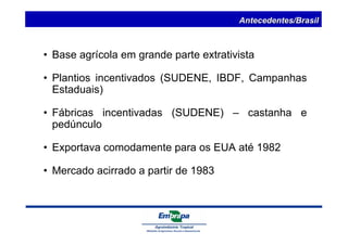 Antecedentes/Brasil 
• Base agrícola em grande parte extrativista 
• Plantios incentivados (SUDENE, IBDF, Campanhas 
Estaduais) 
• Fábricas incentivadas (SUDENE) – castanha e 
pedúnculo 
• Exportava comodamente para os EUA até 1982 
• Mercado acirrado a partir de 1983 
 