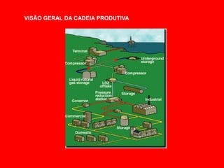VISÃO GERAL DA CADEIA PRODUTIVA
 