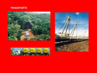 TRANSPORTE
 