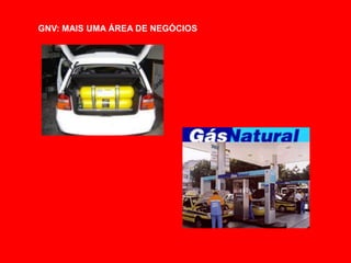 GNV: MAIS UMA ÁREA DE NEGÓCIOS
 