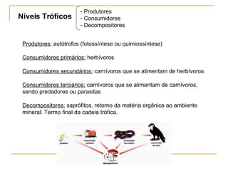Níveis Tróficos Produtores Consumidores Decompositores Produtores:  autótrofos (fotossíntese ou quimiossíntese) Consumidores primários:  herbívoros Consumidores secundários:  carnívoros que se alimentam de herbívoros Consumidores terciários:  carnívoros que se alimentam de carnívoros, sendo predadores ou parasitas Decompositores:  saprófitos, retorno da matéria orgânica ao ambiente mineral. Termo final da cadeia trófica. 