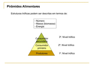 Pirâmides Alimentares Estruturas tróficas podem ser descritas em termos de: Número Massa (biomassa) Energia Produtores Consumidor primário Consumidor secundário 1º. Nível trófico 2º. Nível trófico 3º. Nível trófico 