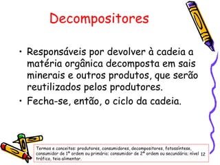 Responsáveis por devolver à cadeia a matéria orgânica decomposta em sais minerais e outros produtos, que serão reutilizados pelos produtores.  Fecha-se, então, o ciclo da cadeia.  Termos e conceitos: produtores, consumidores, decompositores, fotossíntese, consumidor de 1ª ordem ou primário; consumidor de 2ª ordem ou secundário; nível trófico, teia alimentar. Decompositores 