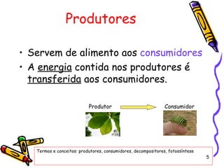 Servem de alimento aos  consumidores A  energia  contida nos produtores é  transferida  aos consumidores. Termos e conceitos: produtores, consumidores, decompositores, fotossíntese  Produtores Produtor Consumidor 
