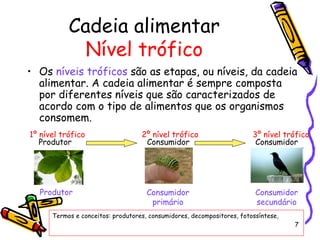 Os  níveis tróficos  são as etapas, ou níveis, da cadeia alimentar. A cadeia alimentar é sempre composta por diferentes níveis que são caracterizados de acordo com o tipo de alimentos que os organismos consomem. Cadeia alimentar Nível trófico Termos e conceitos: produtores, consumidores, decompositores, fotossíntese,  Consumidor Consumidor Consumidor primário Consumidor secundário 1º nível trófico 2º nível trófico 3º nível trófico Produtor Produtor 