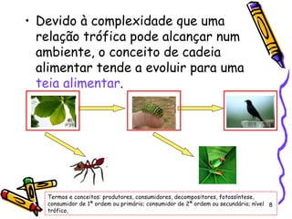 Devido à complexidade que uma relação trófica pode alcançar num ambiente, o conceito de cadeia alimentar tende a evoluir para uma  teia alimentar .  Termos e conceitos: produtores, consumidores, decompositores, fotossíntese, consumidor de 1ª ordem ou primário; consumidor de 2ª ordem ou secundário; nível trófico, 