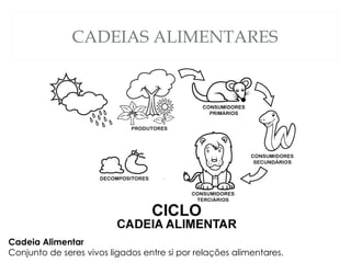 CADEIAS ALIMENTARES Cadeia Alimentar Conjunto de seres vivos ligados entre si por relações alimentares. 