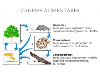 CADEIAS ALIMENTARES Produtores Seres vivos que produzem a sua própria matéria orgânica. Ex. Plantas Consumidores Seres vivos que se alimentam de outros seres vivos. Ex. Animais Decompositores Seres vivos que transformam matéria orgânica em matéria mineral. Ex. Fungos 