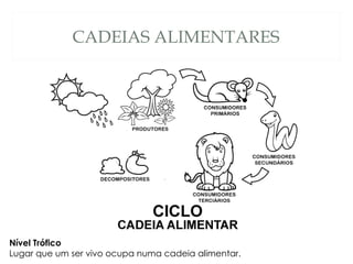 CADEIAS ALIMENTARES Nível Trófico Lugar que um ser vivo ocupa numa cadeia alimentar. 