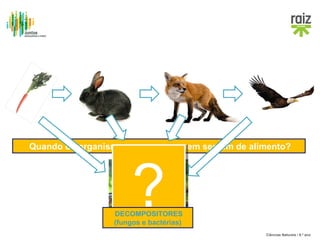 Quando os organismos morrem, a quem servem de alimento?

?

DECOMPOSITORES
(fungos e bactérias)
Ciências Naturais / 8.º ano

 