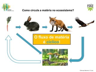 Como circula a matéria no ecossistema?

O fluxo de matéria
é cíclico!

Ciências Naturais / 8.º ano

 