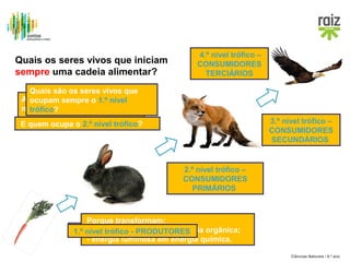 Quais os seres vivos que iniciam
sempre uma cadeia alimentar?

4.º nível trófico –
CONSUMIDORES
TERCIÁRIOS

Quais são os seres vivos que
A posição que o ser vivo ocupa
ocupam sempre o 1.º nível
natrófico? alimentar
cadeia
corresponde ao nível trófico.
E quem ocupa o 2.º nível trófico?

3.º nível trófico –
CONSUMIDORES
SECUNDÁRIOS

2.º nível trófico –
CONSUMIDORES
PRIMÁRIOS

Porque transformam:
matéria autotróficos! matéria
São- os trófico - PRODUTORES
1.º nívelseresinorgânica emPorquê? orgânica;
- energia luminosa em energia química.
Ciências Naturais / 8.º ano

 