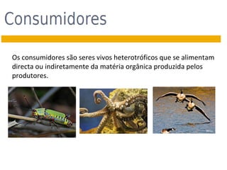 Os consumidores são seres vivos heterotróficos que se alimentam
directa ou indiretamente da matéria orgânica produzida pelos
produtores.

 