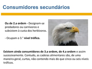 Consumidores secundários
Ou de 2.a ordem - Designam-se
predadores ou carnívoros e
subsistem à custa dos herbívoros.
- Ocupam o 3.° nível trófico.

Existem ainda consumidores de 3.a ordem, de 4.a ordem e assim
sucessivamente. Contudo, as cadeias alimentares são, de uma
maneira geral, curtas, não contendo mais do que cinco ou seis níveis
tróficos.

 