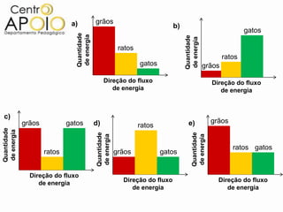 a)             grãos
                                                                                b)
                                                                                                                  gatos




                                Quantidade
                                de energia




                                                                                     Quantidade
                                                                                     de energia
                                                            ratos
                                                                                                          ratos
                                                                    gatos                         grãos

                                                  Direção do fluxo                                    Direção do fluxo
                                                     de energia                                          de energia



c)
             grãos           gatos           d)                                        e)             grãos
                                                                    ratos
Quantidade
de energia




                                              Quantidade




                                                                                         Quantidade
                                              de energia




                                                                                         de energia
                                                                                                              ratos gatos
                     ratos                                 grãos            gatos


               Direção do fluxo
                  de energia                                 Direção do fluxo                           Direção do fluxo
                                                                de energia                                 de energia
 