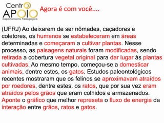 Agora é com você....

(UFRJ) Ao deixarem de ser nômades, caçadores e
coletores, os humanos se estabeleceram em áreas
determinadas e começaram a cultivar plantas. Nesse
processo, as paisagens naturais foram modificadas, sendo
retirada a cobertura vegetal original para dar lugar às plantas
cultivadas. Ao mesmo tempo, começou-se a domesticar
animais, dentre estes, os gatos. Estudos paleontológicos
recentes mostraram que os felinos se aproximavam atraídos
por roedores, dentre estes, os ratos, que por sua vez eram
atraídos pelos grãos que eram colhidos e armazenados.
Aponte o gráfico que melhor represeta o fluxo de energia da
interação entre grãos, ratos e gatos.
 