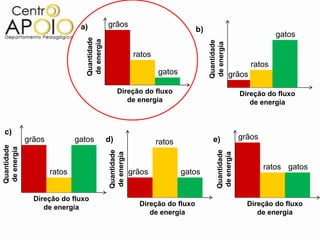 a)             grãos
                                                                                b)
                                                                                                                  gatos




                                Quantidade
                                de energia




                                                                                     Quantidade
                                                                                     de energia
                                                            ratos
                                                                                                          ratos
                                                                    gatos                         grãos

                                                  Direção do fluxo                                    Direção do fluxo
                                                     de energia                                          de energia



c)
             grãos           gatos           d)                                        e)             grãos
                                                                    ratos
Quantidade
de energia




                                              Quantidade




                                                                                         Quantidade
                                              de energia




                                                                                         de energia
                                                                                                              ratos gatos
                     ratos                                 grãos            gatos


               Direção do fluxo
                  de energia                                 Direção do fluxo                           Direção do fluxo
                                                                de energia                                 de energia
 