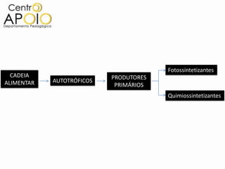 Fotossintetizantes
  CADEIA                   PRODUTORES
ALIMENTAR   AUTOTRÓFICOS
                            PRIMÁRIOS
                                        Quimiossintetizantes
 