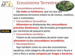 Ecossistema Terrestre:
         Consumidores primários :
           São todos os herbívoros, que no caso dos
        ecossistemas terrestres tratam-se de insetos, roedores,
        aves e ruminantes;
         Consumidores Secundários
           Alimentam-se diretamente dos consumidores
        primários (herbívoros). São formados principalmente
FAUNA   por carnívoros de pequeno porte;
         Consumidores terciários :
           Tratam-se de consumidores de porte maior que
        alimentam-se dos consumidores secundários;
         Decompositores:
           Aqui também como no caso dos ecossistemas
        aquáticos, esta categoria não pertence nem a fauna e
        nem a flora e sendo composta por fungos e bactérias.
 
