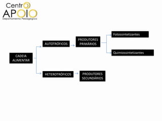 Fotossintetizantes
                             PRODUTORES
            AUTOTRÓFICOS      PRIMÁRIOS

                                            Quimiossintetizantes
  CADEIA
ALIMENTAR


            HETEROTRÓFICOS    PRODUTORES
                              SECUNDÁRIOS
 