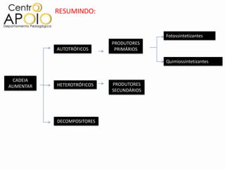 RESUMINDO:


                                           Fotossintetizantes
                             PRODUTORES
            AUTOTRÓFICOS      PRIMÁRIOS

                                           Quimiossintetizantes


  CADEIA
ALIMENTAR   HETEROTRÓFICOS   PRODUTORES
                             SECUNDÁRIOS




            DECOMPOSITORES
 