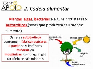 2. Cadeia alimentar
    Plantas, algas, bactérias e alguns protistas são
 Autotróficos (seres que produzem seu próprio
 alimento)
     Os seres autotróficos
conseguem fabricar açúcares
    a partir de substâncias
         minerais ou
 inorgânicas, como água, gás
   carbônico e sais minerais
 