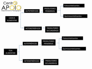 Fotossintetizantes
                                PRODUTORES
              AUTOTRÓFICOS       PRIMÁRIOS

                                                 Quimiossintetizantes
   CADEIA
 ALIMENTAR


              HETEROTRÓFICOS      PRODUTORES
                                  SECUNDÁRIOS


                                                Fotossintetizantes
                               PRODUTORES
             AUTOTRÓFICOS       PRIMÁRIOS

                                                Quimiossintetizantes
   TEIA
ALIMENTAR


             HETEROTRÓFICOS     PRODUTORES
                                SECUNDÁRIOS
 