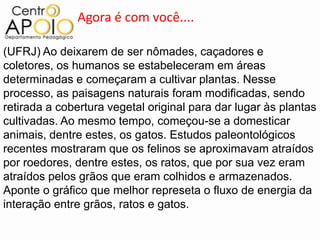Agora é com você....

(UFRJ) Ao deixarem de ser nômades, caçadores e
coletores, os humanos se estabeleceram em áreas
determinadas e começaram a cultivar plantas. Nesse
processo, as paisagens naturais foram modificadas, sendo
retirada a cobertura vegetal original para dar lugar às plantas
cultivadas. Ao mesmo tempo, começou-se a domesticar
animais, dentre estes, os gatos. Estudos paleontológicos
recentes mostraram que os felinos se aproximavam atraídos
por roedores, dentre estes, os ratos, que por sua vez eram
atraídos pelos grãos que eram colhidos e armazenados.
Aponte o gráfico que melhor represeta o fluxo de energia da
interação entre grãos, ratos e gatos.
 