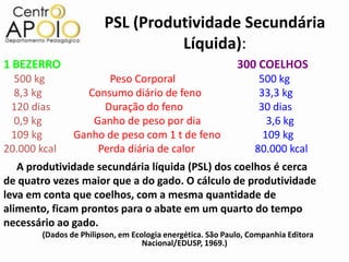 PSL (Produtividade Secundária
                                  Líquida):
1 BEZERRO                                                   300 COELHOS
  500 kg              Peso Corporal                               500 kg
  8,3 kg          Consumo diário de feno                          33,3 kg
 120 dias            Duração do feno                              30 dias
  0,9 kg           Ganho de peso por dia                            3,6 kg
 109 kg         Ganho de peso com 1 t de feno                      109 kg
20.000 kcal         Perda diária de calor                        80.000 kcal
   A produtividade secundária líquida (PSL) dos coelhos é cerca
de quatro vezes maior que a do gado. O cálculo de produtividade
leva em conta que coelhos, com a mesma quantidade de
alimento, ficam prontos para o abate em um quarto do tempo
necessário ao gado.
        (Dados de Philipson, em Ecologia energética. São Paulo, Companhia Editora
                                   Nacional/EDUSP, 1969.)
 