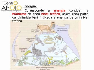Energia:
         Corresponde a energia contida na
biomassa de cada nível trófico, assim cada parte
da pirâmide terá indicada a energia de um nível
trófico.
 