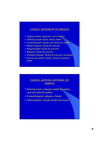 CADEIA ANTERIOR DO BRAÇO
                     BRAÇ

Trapézio fibras superiores: eleva ombros
Deltóide porção média: abduz ombro
Coracobraquial: adução com flexão de ombro
Bíceps braquial: flexão de cotovelo
Braquiorradial: flexão de cotovelo
Braquial: flexão de cotovelo
Pronador redondo: flexão do cotovelo e pronação
Flexores do punho e dedos: flexão do punho e
dedos




   CADEIA ANTERO-INTERNA DO
          ANTERO-
            OMBRO

Peitoral maior: rotação medial do úmero
com elevação do ombro
Coracobraquial: adução e flexão
Subescapular: rotação medial do úmero




                                                  5
 