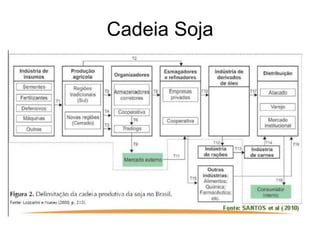 Cadeia Soja
 