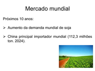 Mercado mundial
Próximos 10 anos:
 Aumento da demanda mundial de soja
 China principal importador mundial (112,3 milhões
ton. 2024).
 