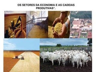 OS SETORES DA ECONOMIA E AS CADEIAS 
PRODUTIVAS”. 
 