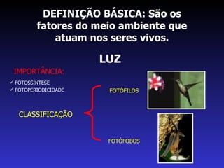 DEFINIÇÃO BÁSICA: São os fatores do meio ambiente que atuam nos seres vivos. LUZ IMPORTÂNCIA: FOTOSSÍNTESE FOTOPERIODICIDADE CLASSIFICAÇÃO FOTÓFILOS FOTÓFOBOS 