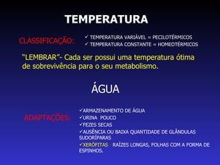 TEMPERATURA CLASSIFICAÇÃO: TEMPERATURA VARIÁVEL = PECILOTÉRMICOS TEMPERATURA CONSTANTE = HOMEOTÉRMICOS “ LEMBRAR”- Cada ser possui uma temperatura ótima de sobrevivência para o seu metabolismo.  ÁGUA ADAPTAÇÕES: ARMAZENAMENTO DE ÁGUA URINA  POUCO FEZES SECAS AUSÊNCIA OU BAIXA QUANTIDADE DE GLÂNDULAS SUDORÍPARAS XERÓFITAS  -  RAÍZES LONGAS, FOLHAS COM A FORMA DE ESPINHOS. 