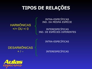 TIPOS DE RELAÇÕES HARMÔNICAS +/+ OU +/ 0 DESARMÔNICAS + /   INTRA-ESPECÍFICAS IND. DA MESMA ESPÉCIE INTERESPECÍFICAS IND. DE ESPÉCIES DIFERENTES INTRA-ESPECÍFICAS INTERESPECÍFICAS 