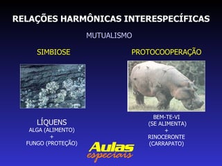 RELAÇÕES HARMÔNICAS INTERESPECÍFICAS MUTUALISMO SIMBIOSE PROTOCOOPERAÇÃO LÍQUENS ALGA (ALIMENTO) + FUNGO (PROTEÇÃO) BEM-TE-VI (SE ALIMENTA) + RINOCERONTE (CARRAPATO) 