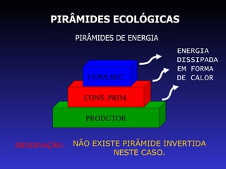 PIRÂMIDES ECOLÓGICAS PIRÂMIDES DE ENERGIA PRODUTOR CONS. PRIM. CONS.SEC. ENERGIA DISSIPADA EM FORMA DE CALOR OBSERVAÇÃO: NÃO EXISTE PIRÂMIDE INVERTIDA NESTE CASO. 
