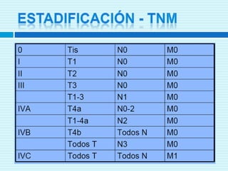 TOMOGRAFÍA AXIAL COMPUTARIZADA