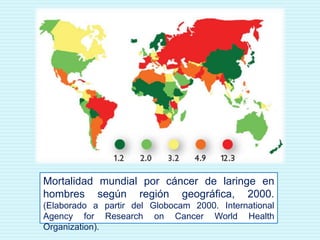 Mortalidad mundial por cáncer de laringe en hombres según región geográfica, 2000. (Elaborado a partir del Globocam 2000. International AgencyforResearchonCancerWorldHealthOrganization).