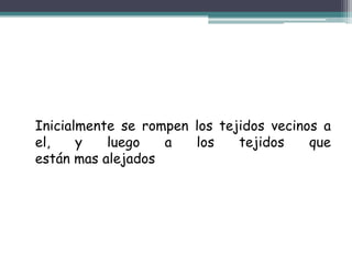 Inicialmente se rompen los tejidos vecinos a
el,    y   luego   a   los    tejidos    que
están mas alejados
 