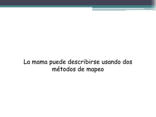 La mama puede describirse usando dos
         métodos de mapeo
 
