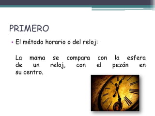 PRIMERO
• El método horario o del reloj:

 La mama se compara            con la esfera
 de    un   reloj, con         el  pezón  en
 su centro.
 