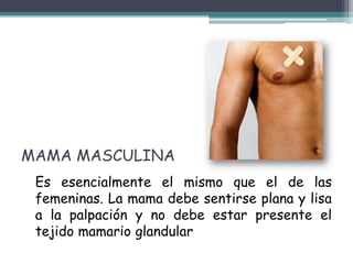 MAMA MASCULINA
 Es esencialmente el mismo que el de las
 femeninas. La mama debe sentirse plana y lisa
 a la palpación y no debe estar presente el
 tejido mamario glandular
 